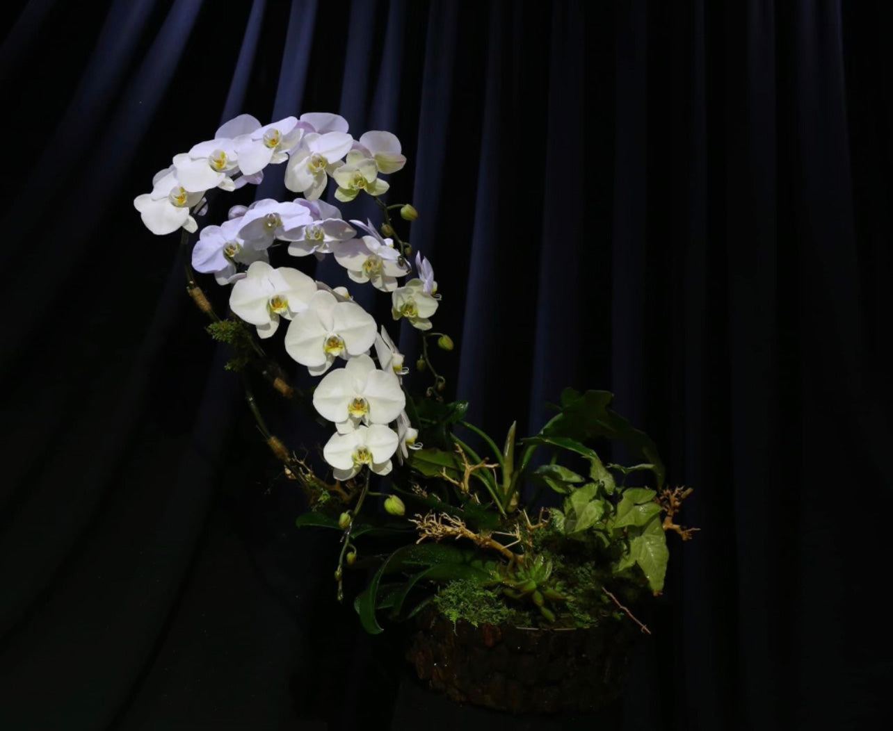 Tiny Garden 10