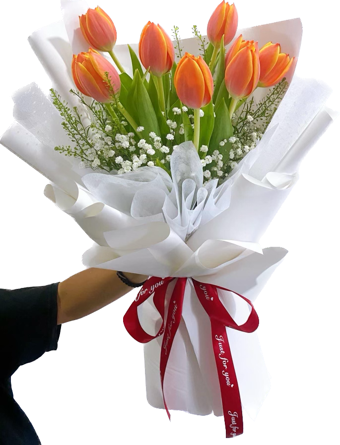 Give You My Love - A warm heart