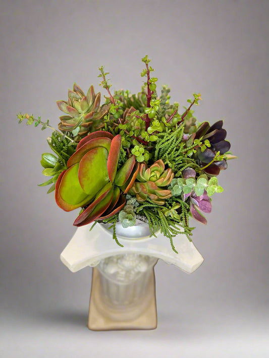 Tiny Garden 1