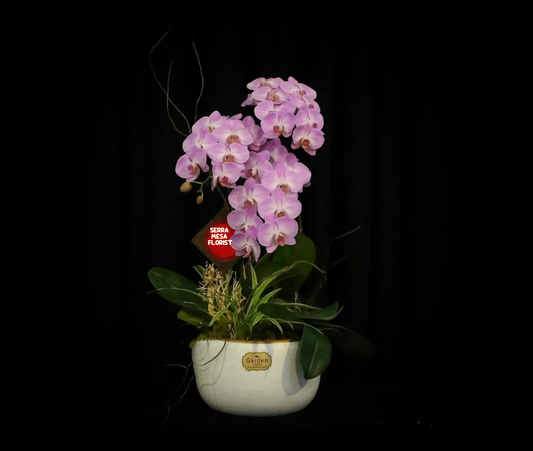 Tiny Garden 11