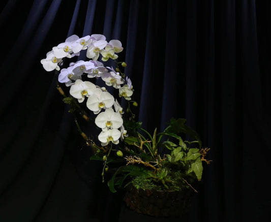 Tiny Garden 10